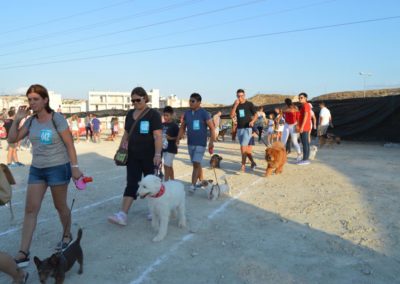 festival-canino-mascota-jardin-2016-417-1024x768