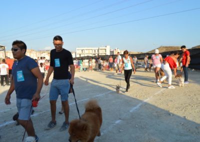 festival-canino-mascota-jardin-2016-418-1024x768