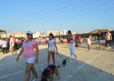 festival-canino-mascota-jardin-2016-420-1024x768