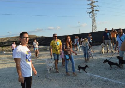 festival-canino-mascota-jardin-2016-464-1024x768