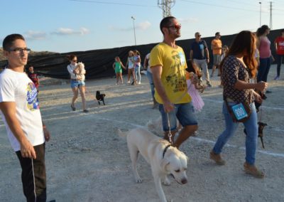 festival-canino-mascota-jardin-2016-465-1024x768