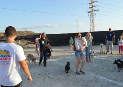 festival-canino-mascota-jardin-2016-466-1024x768