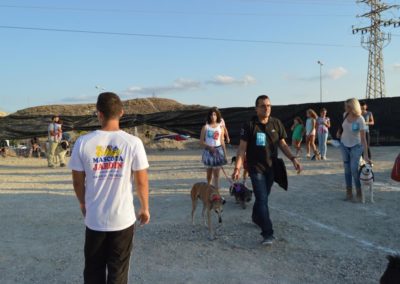 festival-canino-mascota-jardin-2016-467-1024x768