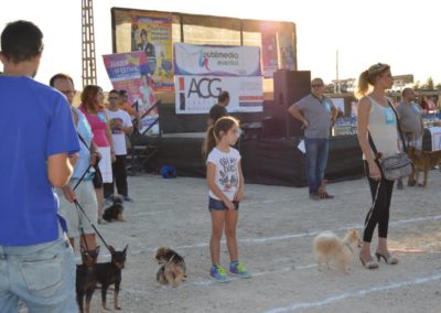 festival-canino-mascota-jardin-2016-474-1024x768