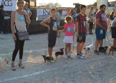 festival-canino-mascota-jardin-2016-476-1024x768