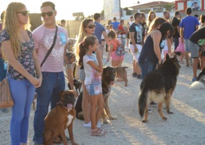 festival-canino-mascota-jardin-2016-478-1024x768