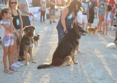 festival-canino-mascota-jardin-2016-479-1024x768