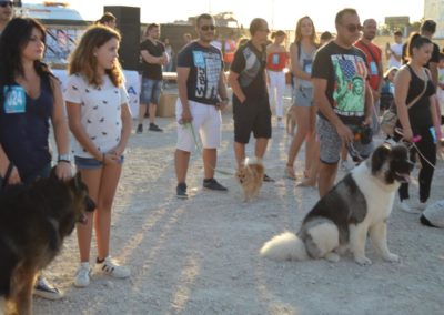 festival-canino-mascota-jardin-2016-480-1024x768
