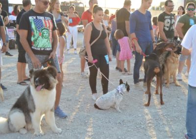 festival-canino-mascota-jardin-2016-481-1024x768