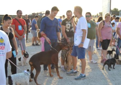 festival-canino-mascota-jardin-2016-482-1024x768