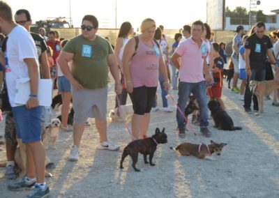 festival-canino-mascota-jardin-2016-483-1024x768