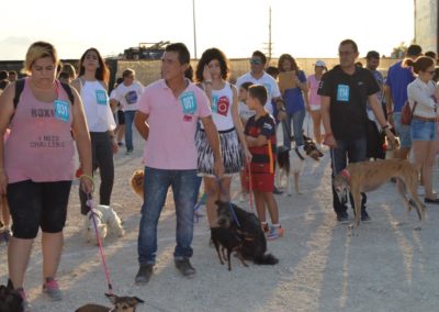 festival-canino-mascota-jardin-2016-484-1024x768