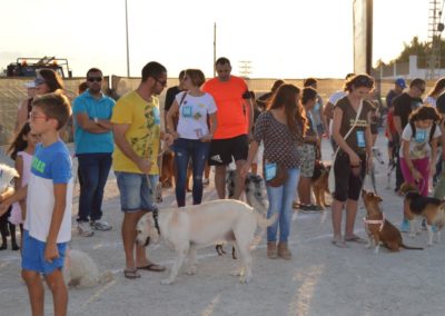 festival-canino-mascota-jardin-2016-486-1024x768