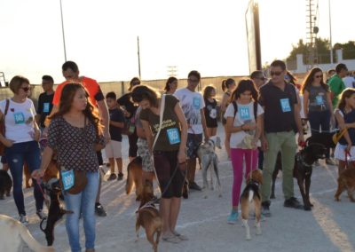 festival-canino-mascota-jardin-2016-487-1024x768