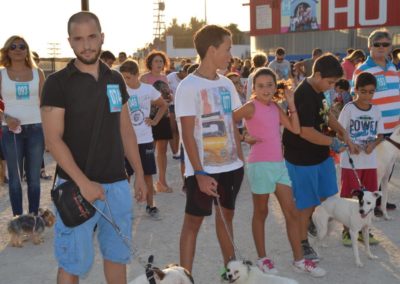 festival-canino-mascota-jardin-2016-489-1024x768