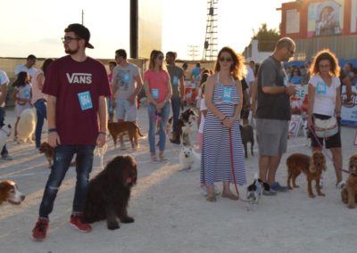 festival-canino-mascota-jardin-2016-492-1024x768