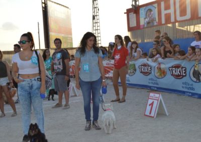 festival-canino-mascota-jardin-2016-494-1024x768