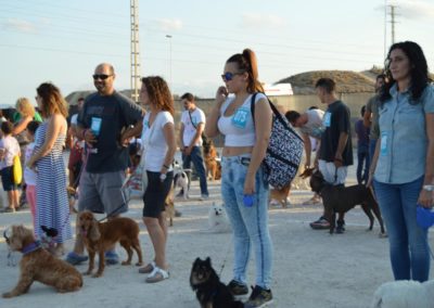 festival-canino-mascota-jardin-2016-495-1024x768