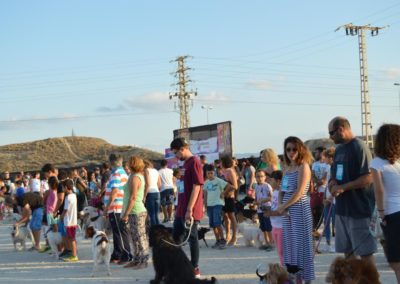 festival-canino-mascota-jardin-2016-496-1024x768