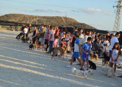 festival-canino-mascota-jardin-2016-497-1024x768