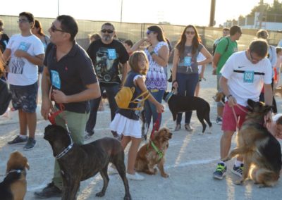 festival-canino-mascota-jardin-2016-498-1024x768