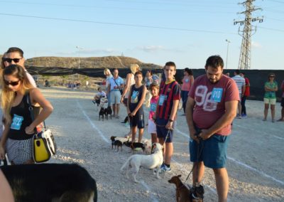 festival-canino-mascota-jardin-2016-503-1024x768