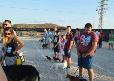 festival-canino-mascota-jardin-2016-504-1024x768