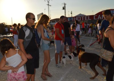 festival-canino-mascota-jardin-2016-505-1024x768