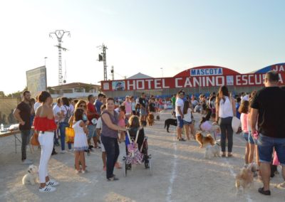 festival-canino-mascota-jardin-2016-508-1024x768