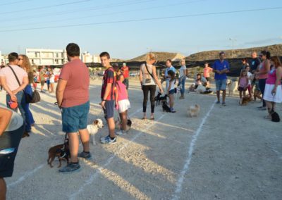 festival-canino-mascota-jardin-2016-511-1024x768