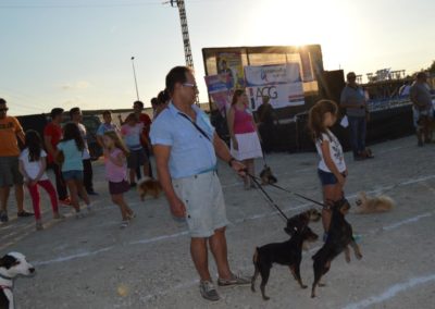 festival-canino-mascota-jardin-2016-514-1024x768