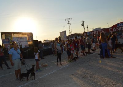 festival-canino-mascota-jardin-2016-516-1024x768