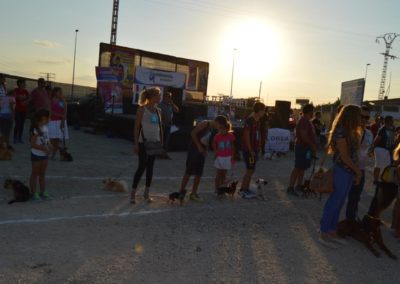 festival-canino-mascota-jardin-2016-521-1024x768