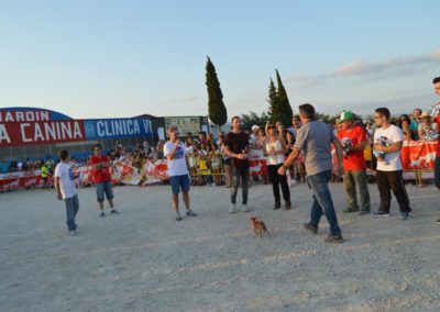 festival-canino-mascota-jardin-2016-564-1024x768