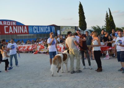 festival-canino-mascota-jardin-2016-571-1024x768