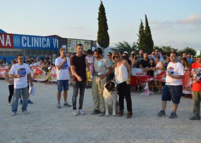 festival-canino-mascota-jardin-2016-572-1024x768