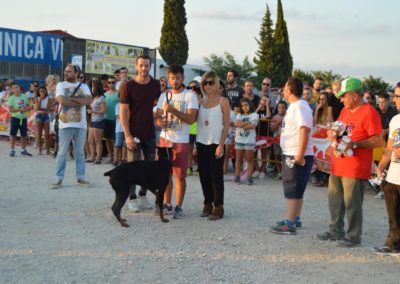 festival-canino-mascota-jardin-2016-605-1024x768