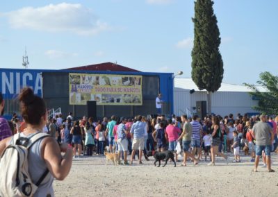 festival-canino-mascota-jardin-2016-61-1024x768