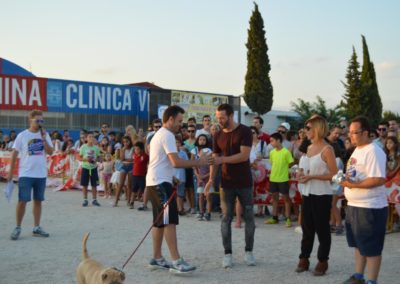 festival-canino-mascota-jardin-2016-629-1024x768