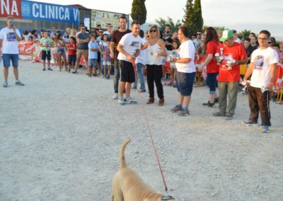 festival-canino-mascota-jardin-2016-630-1024x768
