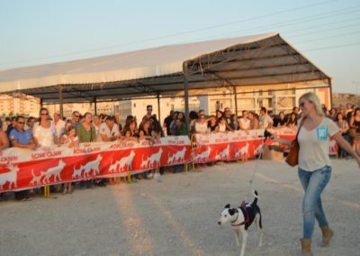 festival-canino-mascota-jardin-2016-653-1024x768