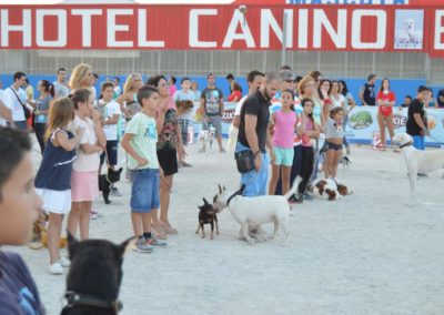 festival-canino-mascota-jardin-2016-735-1024x768