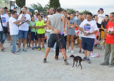 festival-canino-mascota-jardin-2016-737-1024x768