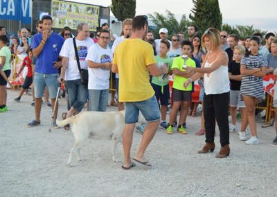 festival-canino-mascota-jardin-2016-747-1024x768