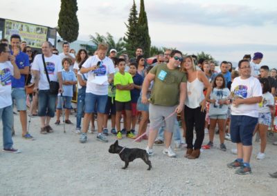 festival-canino-mascota-jardin-2016-758-1024x768