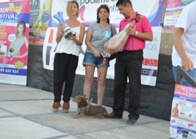 festival-canino-mascota-jardin-2016-774-1024x768