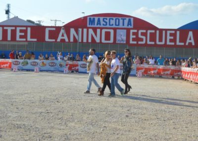 festival-canino-mascota-jardin-2016-84-1024x768